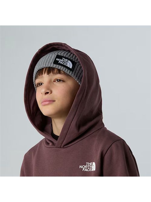 Felpa con cappuccio Simple Dome da ragazzi THE NORTH FACE | NF0A8AXV/BQ71